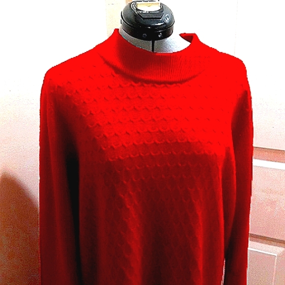 Allison Daley Red Sweater.     Size XL/TG - Picture 1 of 5